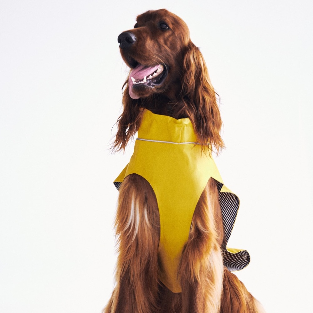 🌹 NWT. Zara Pet Collection Yellow Water-Repellent Raincoat